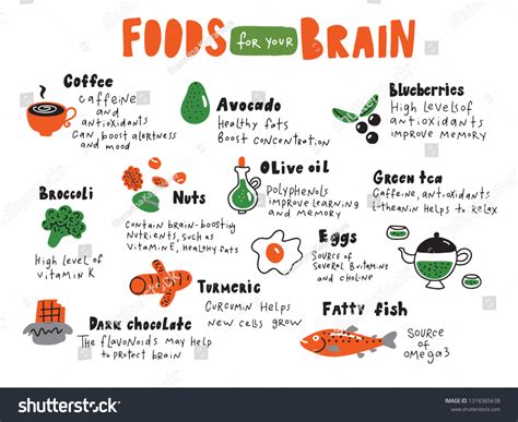Top 20 Facts About Nutrition Meals Health Biology