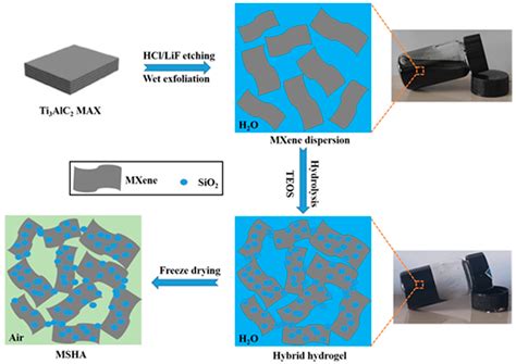 Hierarchical Porous and Three-Dimensional MXene/SiO2 Hybrid Aerogel ...