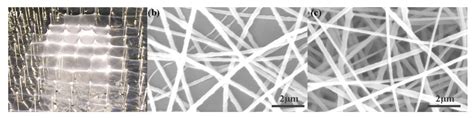 Electrospun Three-Dimensional Nanofibrous Structure via Probe Arrays ...