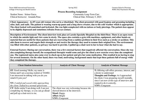 Image result for Process Recording Psych Example