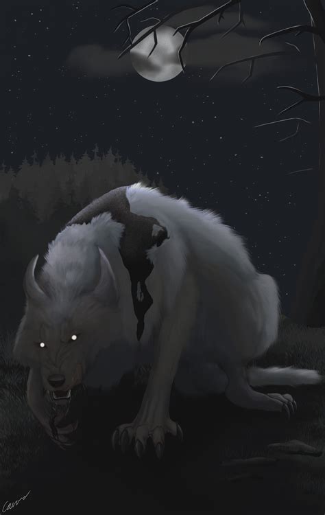 Wolves Transforms 的图像结果