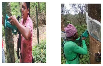 Rubber Tapping Machine Bholanath