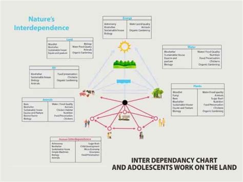 Quinta Essentia | Montessori Adolescent Center for Studies and Work