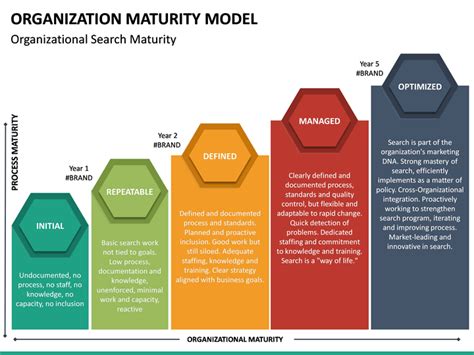 Maturity Model Examples 的图像结果
