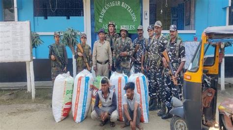 Tripura: Assam Rifles seizes Marijuana worth Rs 40 lakh in Unakoti ...