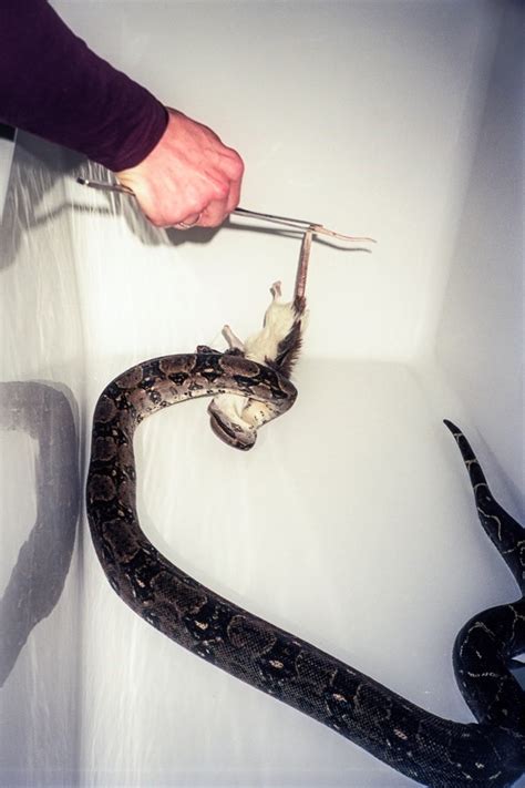 Birk Thomassen | Dazed