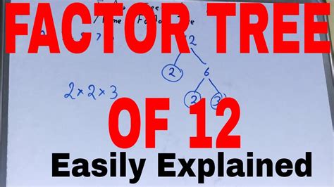 Factor Tree Example 的图像结果