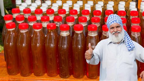 Why Punjab is best beekeeping state in India? – resetagri