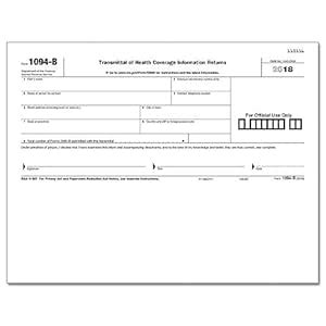 ComplyRight 1094-B Transmittal Forms, Pack of 500 : Amazon.in: Office ...