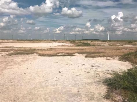 high coastal salinity Soil