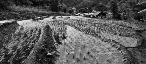 How do we envision our future? a Photo Story(NEIWS:50) | NE Water Talk