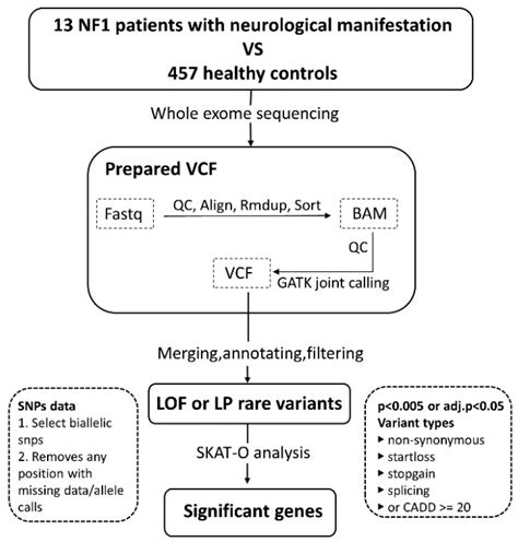 Assessment of Rare Genetic Variants to Identify Candidate Modifier ...