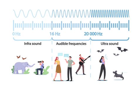 Sound Wave Amplitude And Frequency