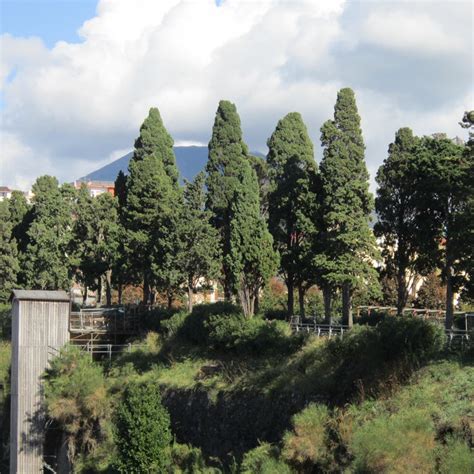 Image result for LS Land Issue