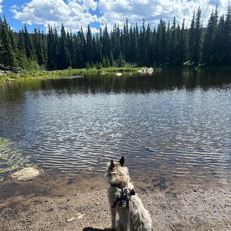 Rainbow Lakes Campground | Nederland, CO