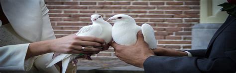 Karaman Davetiye - Karaman Davetiye