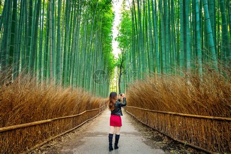 昆明北京路上有一条1公里长的竹林小道，散步、拍照皆宜，很独特|竹林|小道|竹子_新浪新闻