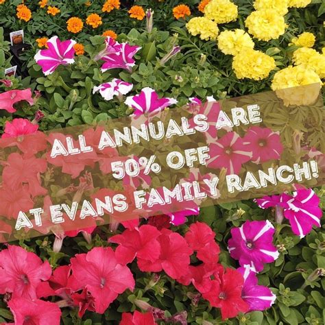 Evans Family Ranch | Pastured Grass-Fed Beef | Locally Grown Seasonal ...