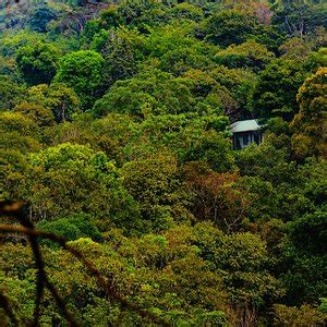 The 10 Best Hotel Deals in Vythiri (Apr 2025) - Tripadvisor