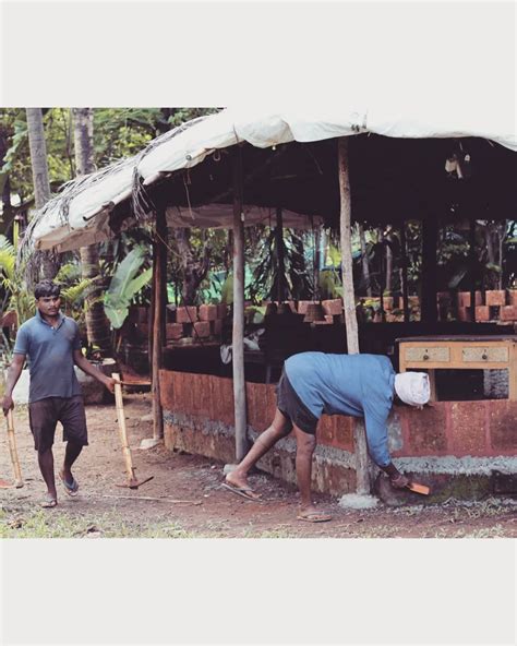 Image result for Goa Fusion