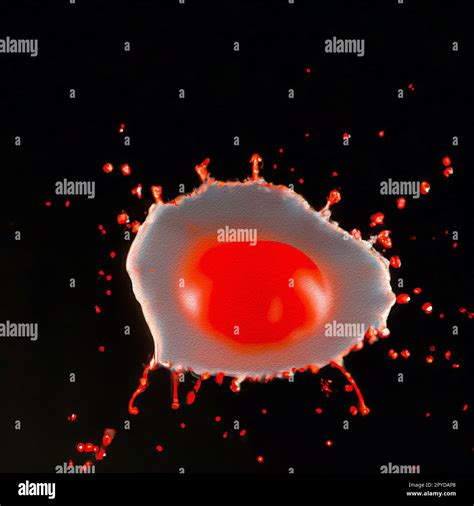 Image result for Paint Grenade Exploding