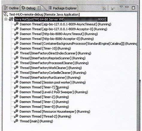 Remote Debug 的图像结果