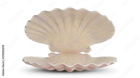 Empty sea shell. For your banner, poster, logo. Empty, blank, sea shell ...