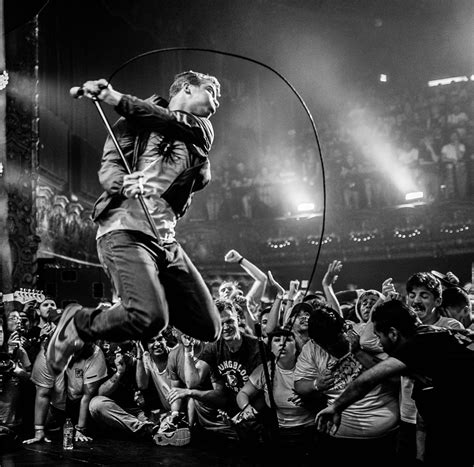 Image result for fiddlehead