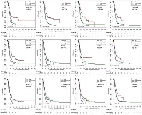 PFS Label State Label 的图像结果