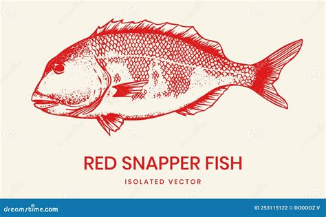 Image result for Snapper Fish Papercraft