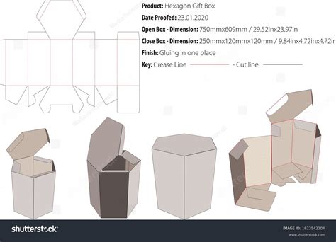 Hexagon Box Template Vector