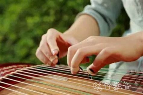 初学古筝手型详细讲解，五点要素要牢记-演奏技法-丝竹知音_民族乐器学习网