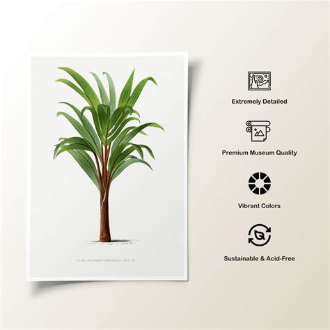 Vintage palm tree illustration 7: Buy Flower Paintings & Botanical Art ...