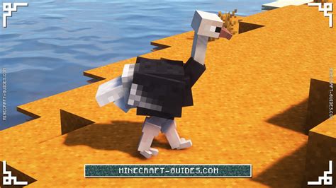 Image result for Minecraft Bird Mod