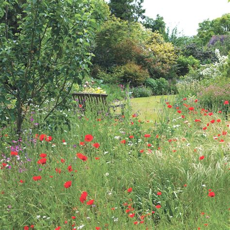 Wildflower garden ideas - clever pollinator planting for every garden ...