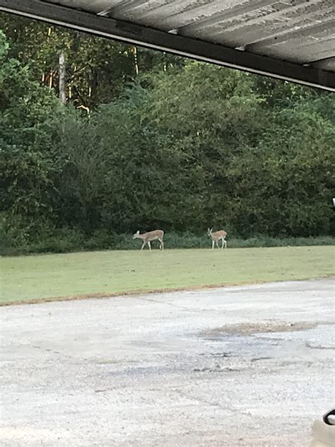 Talk about a family visit!