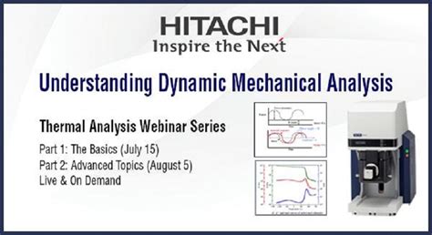 Dynamic Analysis in ANSYS Mechanical 的图像结果