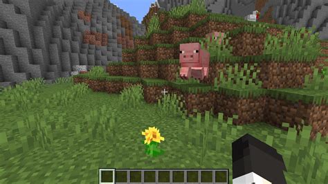 Image result for Minecraft Java Edition Texture Packs