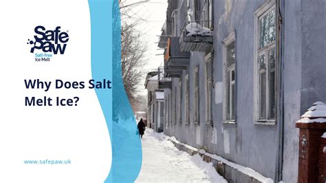 Why Does Salt Melt Ice? The Science Behind This Essential Winter Tool - Pet Safe Ice Melt You ...