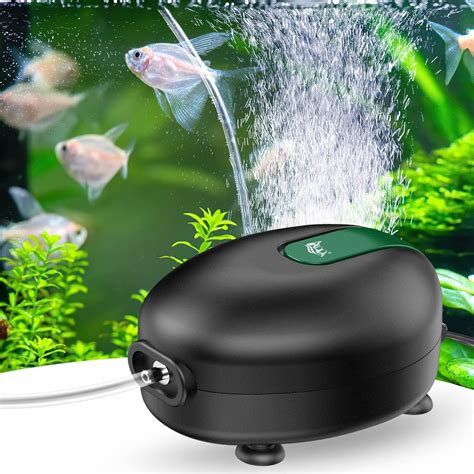 How To Soundproof Aquarium Air Pump at Tammy Pough blog