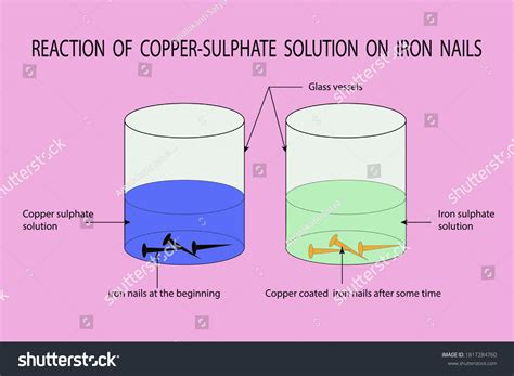 Vector Diagram Show Reaction Copper Sulphate Stock Vector (Royalty Free ...