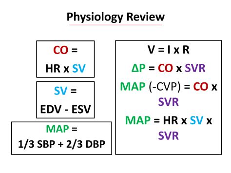 diketahui rumus molekul urea co(nh2)2 - Rumus Kimia Info