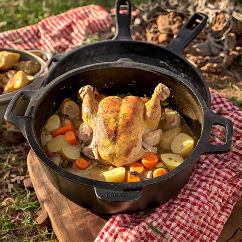 Dutch Oven Recipes With Chicken at John Richard blog