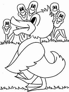 lustige enten ausmalbilder n de 20 ausmalbilder enten lustige enten ausmalbilder n de 20 ausmalbilder enten