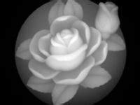 Image result for Grayscale Models