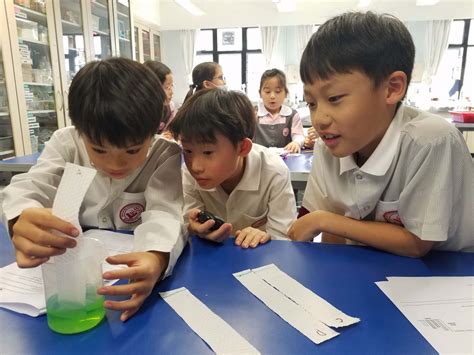 Primary School Science 的图像结果