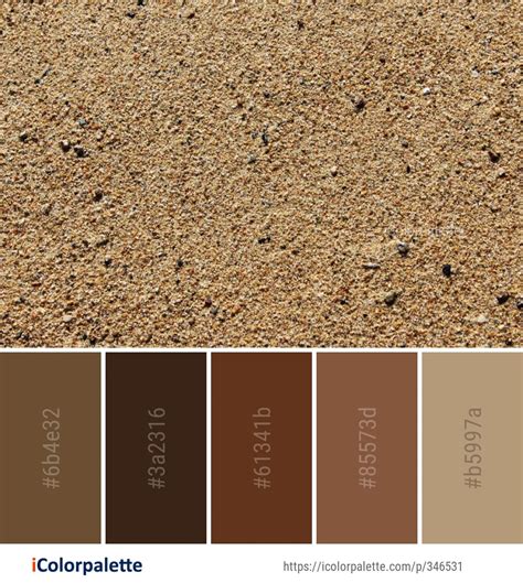 What Colors Are Sand at Lori Allan blog