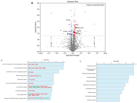 Aerobic Exercise Modulates Proteomic Profiles in Gastrocnemius Muscle ...
