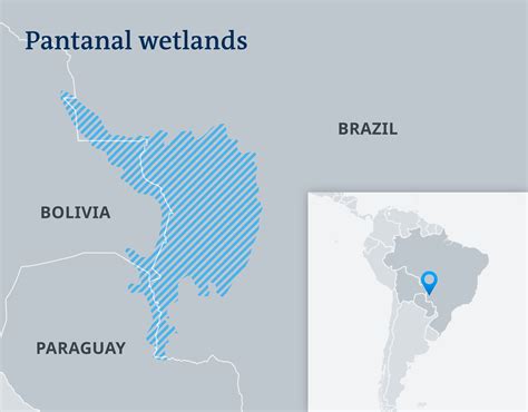 Brazil′s next fire disaster, in the Pantanal wetlands | Americas| North and South American news ...