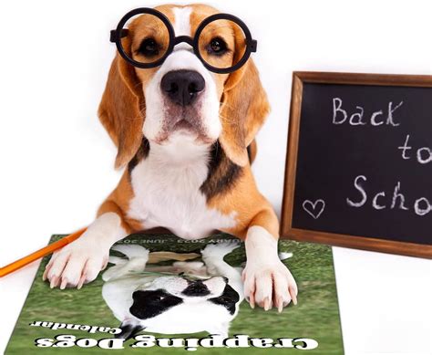 Buy 2023-2024 Wall Calendar – 18 Monthly Pooping Dogs Calendar 2023 ...